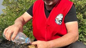 Bursa'daki Orman Yangını 5. Günü Geride Bıraktı