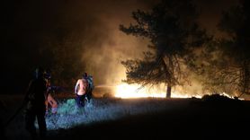 Bursa'daki Orman Yangınına Müdahale Devam Ediyor