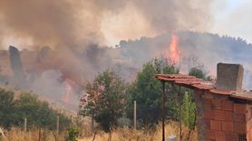 Bursa'daki Orman Yangınına Müdahale Sürüyor