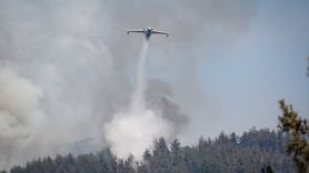 Bursa'daki Orman Yangınında Müdahale Devam Ediyor