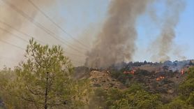 Çal İlçesinde Orman Yangınına Hızlı Müdahale