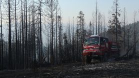 Çankırı'da Orman Yangınına Müdahale Devam Ediyor