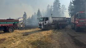 Çankırı'da Orman Yangınına Müdahale Devam Ediyor