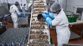 Deniz Feneri Derneği Gazze İçin Çalışmalarını Sürdürüyor