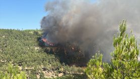 Denizli'de Anız Yangını Ormana Sıçradı