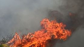 Denizli'deki Orman Yangını Kontrol Altına Alındı