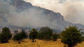 Diyarbakır Lice'deki Orman Yangınına Müdahele Devam Ediyor