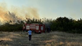 Düzce'de örtü yangını kontrol altına alındı