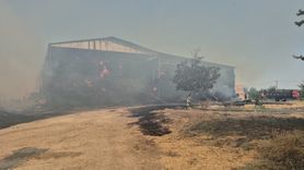 Edirne'de Köy Yangını: 80 Küçükbaş Hayvan Telef Oldu