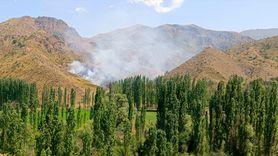 Erzurum'da Kırsal Alanı Kapsayan Yangın Kontrol Altına Alındı
