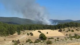 Eskişehir'de Orman Yangınına Müdahale Devam Ediyor