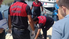 Fırat Nehri'nde Erkek Cesedi Bulundu