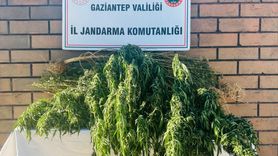 Gaziantep'te Uyuşturucu Operasyonu: Bir Kişi Tutuklandı