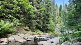 Giresun'un Doğal Güzellikleri: Paşakonağı Yaylası