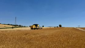 Isparta'da Hububat Hasadı Başladı