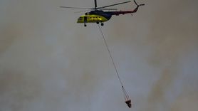 İzmir Bornova'daki Orman Yangınına Hızla Müdahale Ediliyor