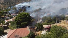 İzmir'de Otluk Alanda Yangın Paniği