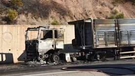 İzmir'deki Orman Yangını Hızla Kontrol Altına Alındı