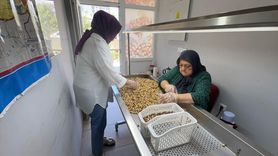 Kadın Girişimciden Fındık İşleme Tesisine KOSGEB Desteği