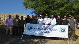 Kahramanmaraş'ta Yaban Hayatı İçin 200 Keklik Doğaya Salındı