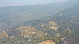 Kahramanmaraş'taki Orman Yangınına Müdahale Devam Ediyor