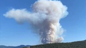 Karabük'te Orman Yangınına Müdahale Devam Ediyor