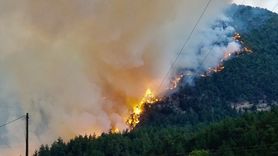 Karabük'te Orman Yangınlarıyla Mücadele Sürüyor