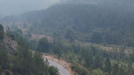 Karabük'teki Orman Yangınlarında Çalışmalar Devam Ediyor