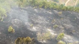 KFOR, Kosova'daki Orman Yangınlarını Söndürme Çalışmalarında Aktif Rol Alıyor