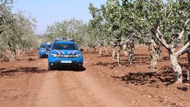 Kilis'te Antep Fıstığı Hırsızlığına Karşı Güvenlik Önlemleri