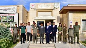 Kırşehir'de Yaralı Kuşlar Doğaya Yeniden Kavuştu