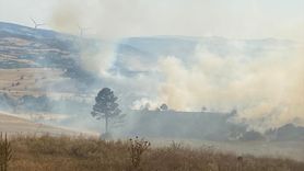 Kütahya'da Orman Yangınına Havadan ve Karadan Müdahale