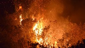 Manisa'da Tarım Arazisinden Ormana Sıçrayan Yangın Kontrol Altına Alındı