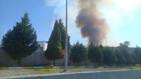 Manisa'da Orman Yangınına Müdahale Başlatıldı