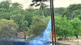 Manisa'daki Orman Yangınına Hızla Müdahale Ediliyor