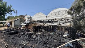 Muğla'da Otluk Alanda Yangın Kontrol Altına Alındı