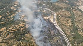 Muğla'da Tarım Alanında Çıkan Yangına Müdahale