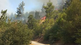 Muğla'daki Orman Yangını Kontrol Altına Alındı