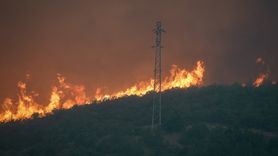 Sakarya-Bilecik Orman Yangınında Müdahale 3. Gündem Devam Ediyor