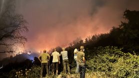 Sakarya'da Orman Yangını: İki Mahalle Tahliye Edildi