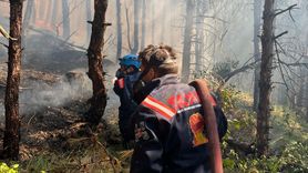 Sakarya'da Orman Yangını Kontrol Altına Alındı