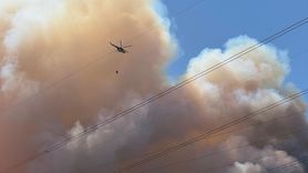 Sakarya'da Orman Yangınına Hava ve Karadan Müdahale