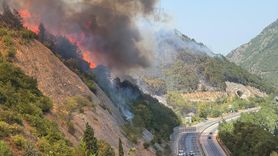 Sakarya'da Orman Yangınına Hava ve Karadan Müdahale