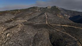 Sakarya'daki Orman Yangını Havadan Görüntülendi