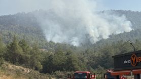 Sakarya'dan Bilecik'e Sıçrayan Orman Yangınında Müdahale Devam Ediyor