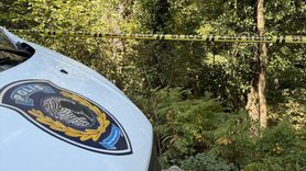 Sarıyer'de Ormanlık Alanda Erkek Cesedi Bulundu