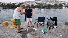 Sinop'ta Deniz Soğuması Balıkları Kıyıya Taşıdı