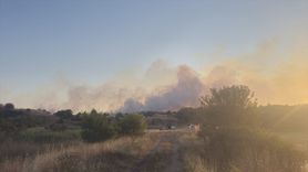 Tekirdağ'da 20 Dekar Ağaçlık Alan Yangında Zarar Gördü