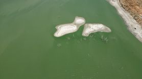 Tekirdağ'da Türkmenli Göleti'nde Su Seviyesi Krizi