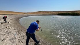 Tekirdağ'daki Gölette Balıklar Telef Oldu